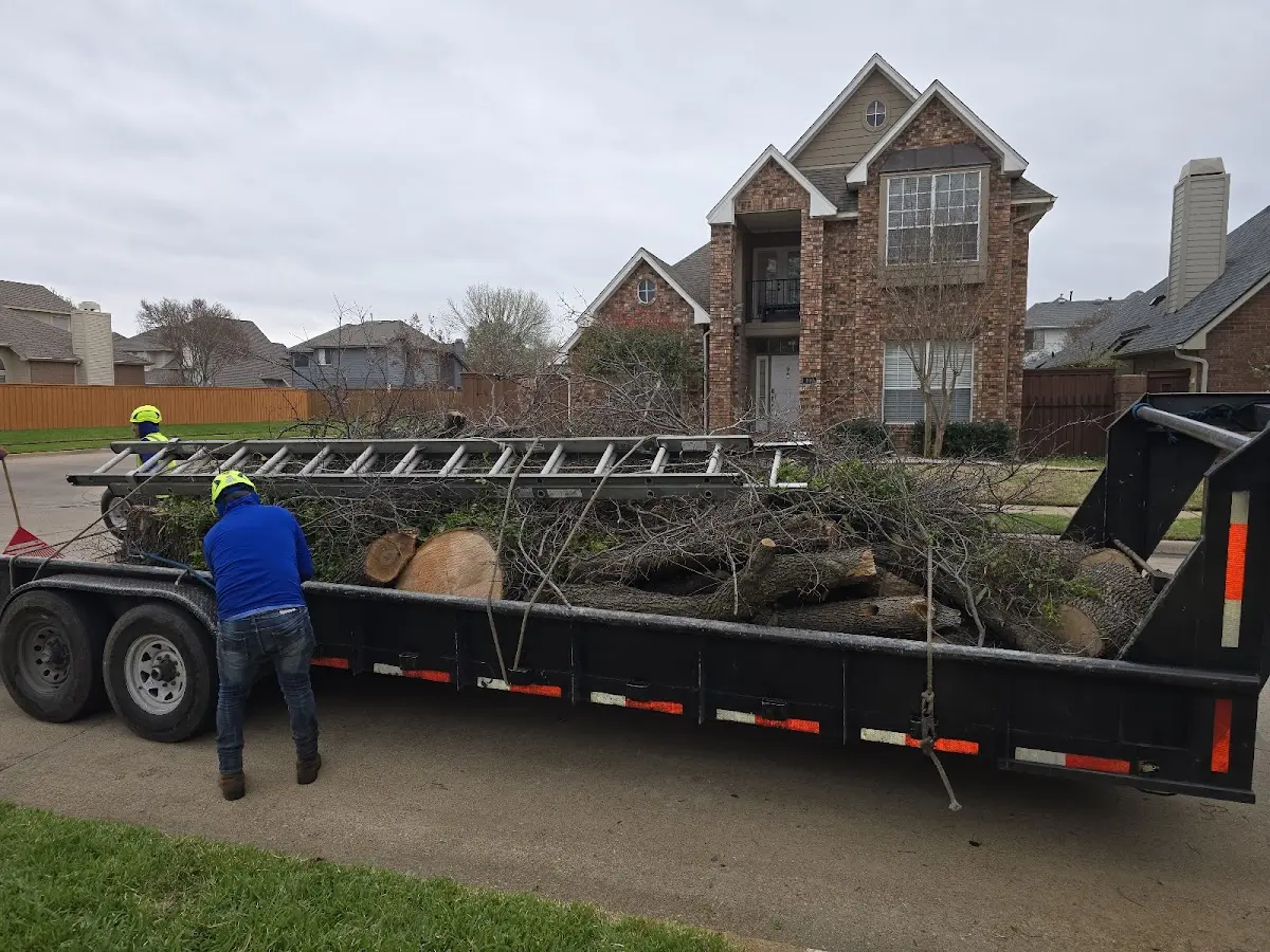 Expert Tree Pest Control with proper safety equipment in Johnston